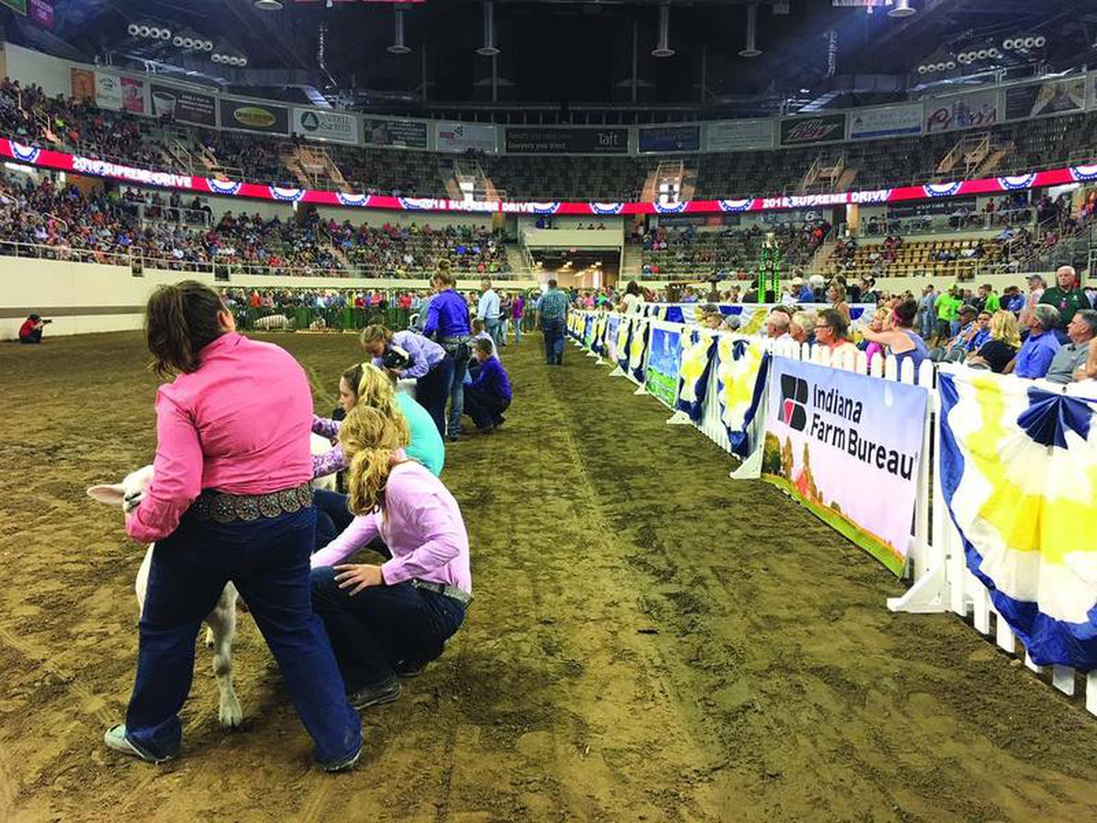 INFB supports youth at Indiana State Fair Livestock and Project Show