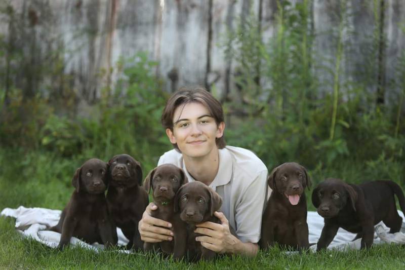 Caleb Wagner spends time socializing with his Labrador Retriever puppies every day for his Centennial Farm Labradors business.