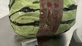 Methamphetamine disguised as shipment of watermelons seized at U.S.-Mexico border in San Diego