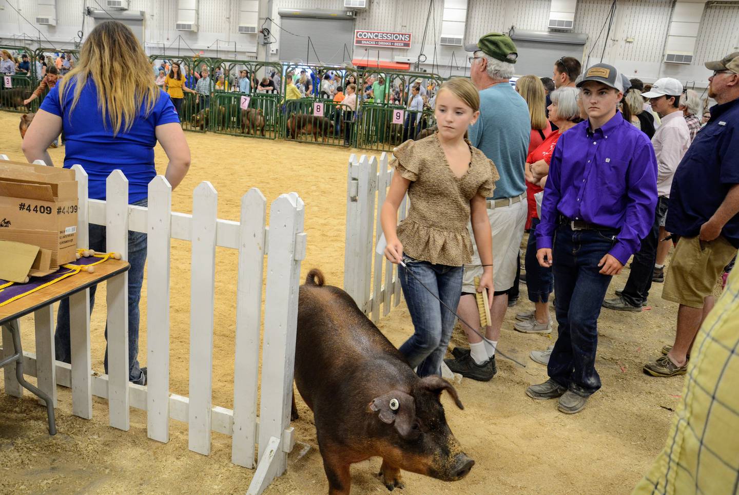 National swine show takes over the Indiana State Fairgrounds AgriNews