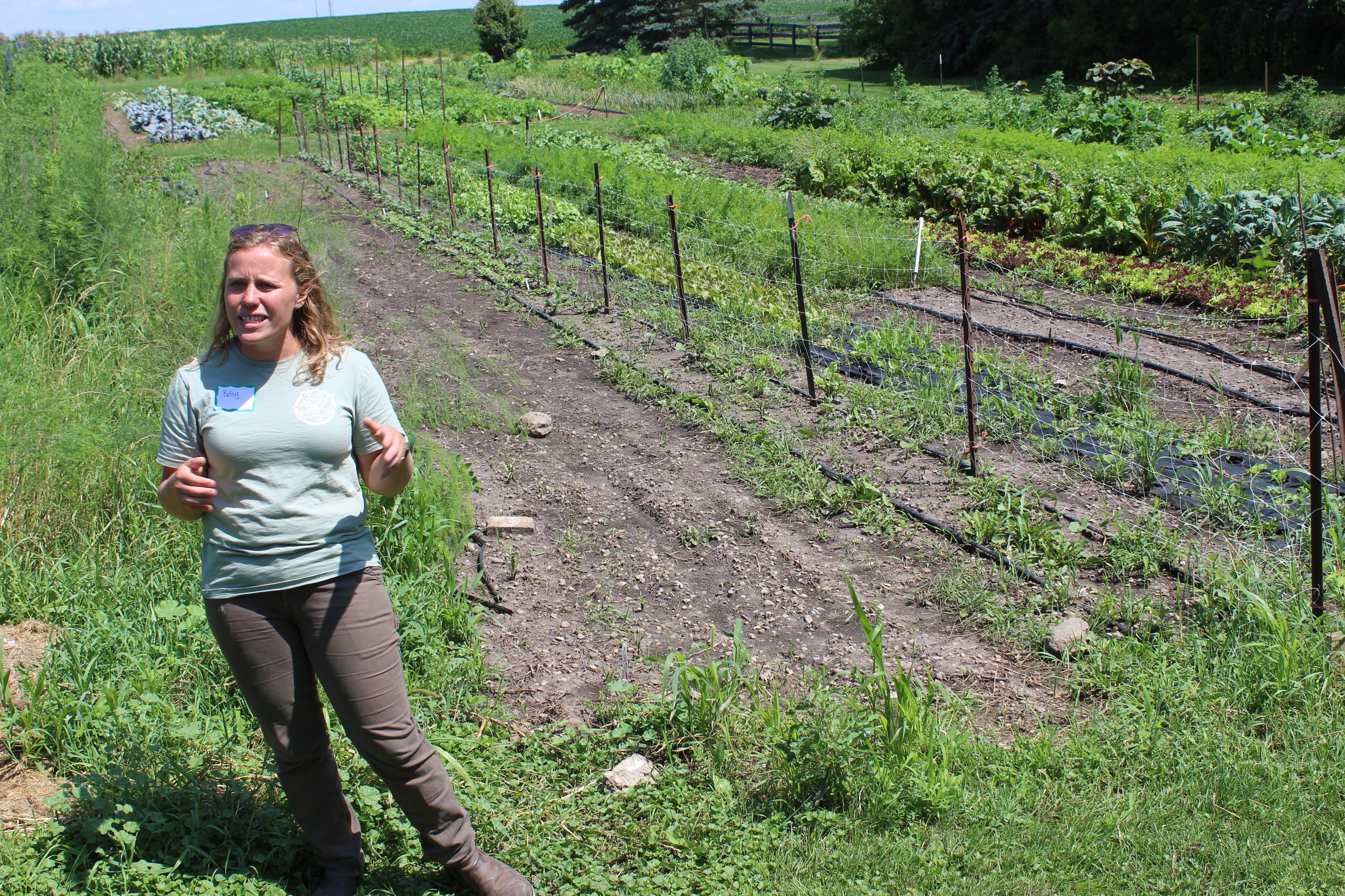 Betsy Zarko talks about the half acre of vegetable production on her farm in McHenry County in northern Illinois. The farmer gave a tour of her operation which also includes pastured poultry and pork production during a Women Caring for the Land Learning Circle event.