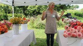 Flower farm develops from interest in growing vegetables