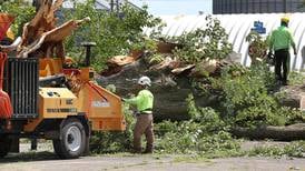 Farm Service Agency programs address record tornado day